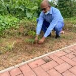 Tree Planting 1
