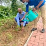 Tree Planting 2
